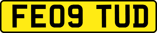 FE09TUD