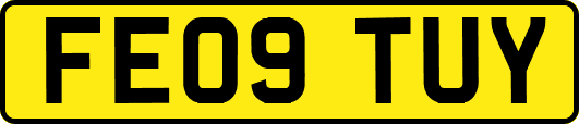 FE09TUY