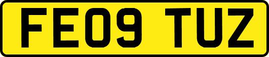 FE09TUZ