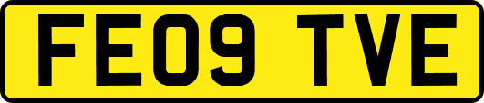 FE09TVE