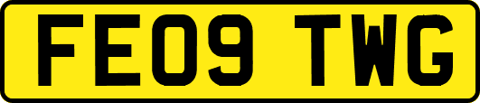 FE09TWG