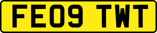 FE09TWT