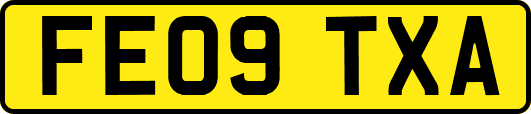 FE09TXA