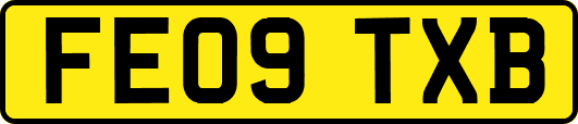 FE09TXB