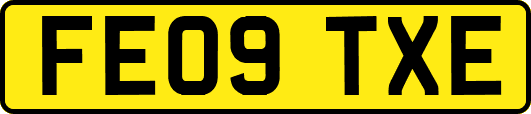 FE09TXE