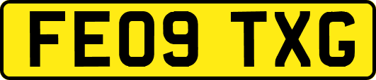 FE09TXG