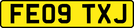 FE09TXJ