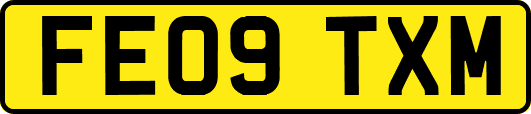 FE09TXM