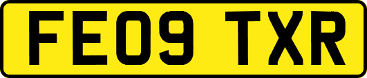 FE09TXR
