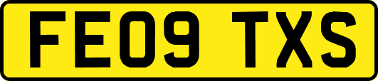 FE09TXS