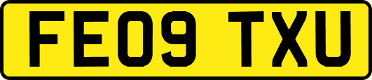 FE09TXU