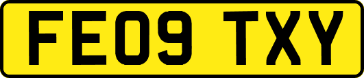 FE09TXY