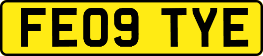 FE09TYE
