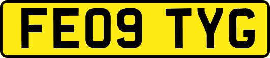FE09TYG