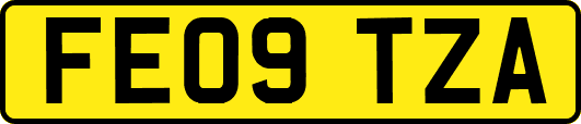FE09TZA