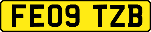 FE09TZB