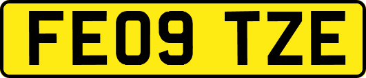 FE09TZE