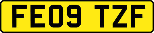 FE09TZF