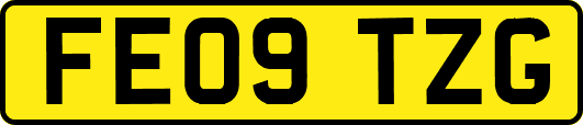 FE09TZG