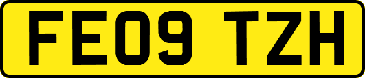 FE09TZH