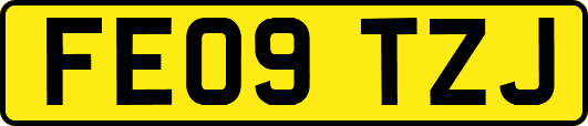 FE09TZJ