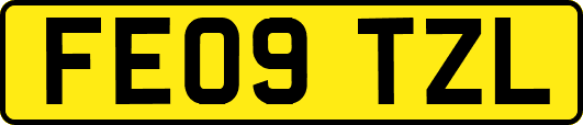 FE09TZL