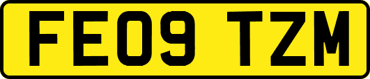 FE09TZM