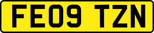 FE09TZN