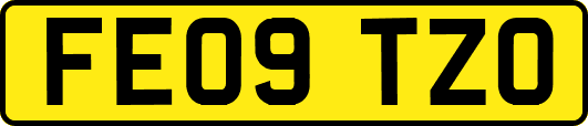 FE09TZO