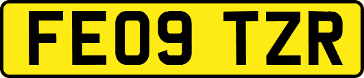 FE09TZR