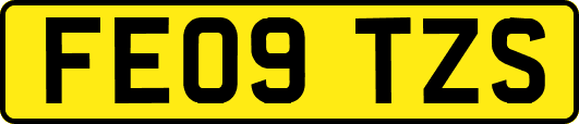 FE09TZS