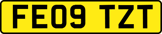 FE09TZT