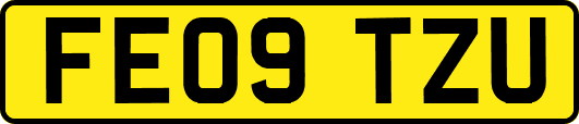 FE09TZU