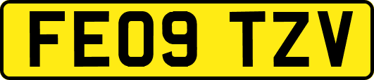 FE09TZV