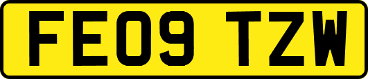 FE09TZW