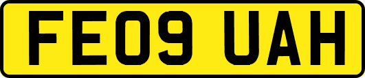 FE09UAH