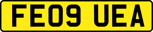 FE09UEA
