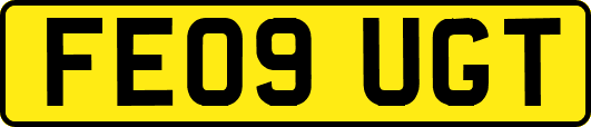 FE09UGT