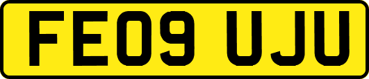 FE09UJU