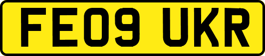 FE09UKR