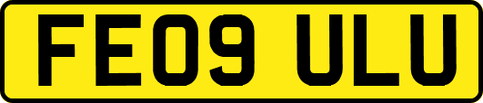 FE09ULU