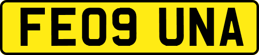 FE09UNA