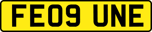 FE09UNE