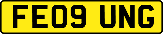 FE09UNG