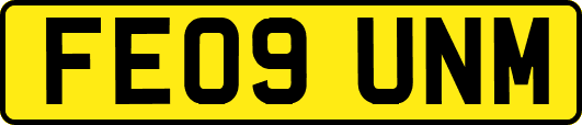 FE09UNM