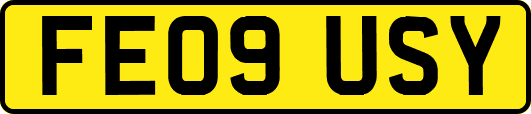 FE09USY