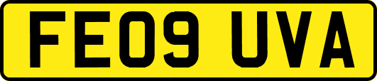 FE09UVA