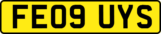 FE09UYS
