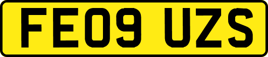 FE09UZS