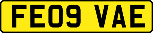 FE09VAE